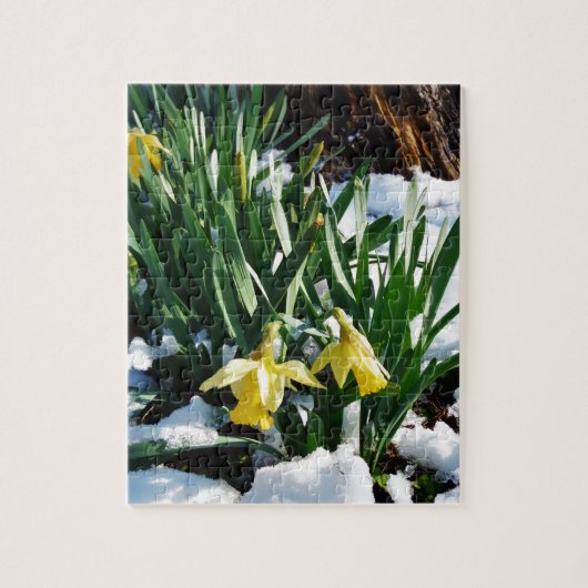 Gelbe Daffodien Blume im Schnee Puzzle (Vertikal)