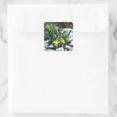 Gelbe Daffodien Blume im Schnee Quadratischer Aufkleber (Tasche)
