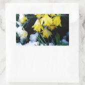 Gelbe Daffodien Blume im Schnee Rechteckiger Aufkleber (Tasche)