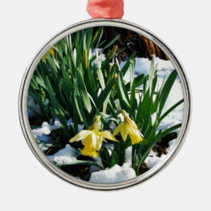 Gelbe Daffodien Blume im Schnee Silbernes Ornament