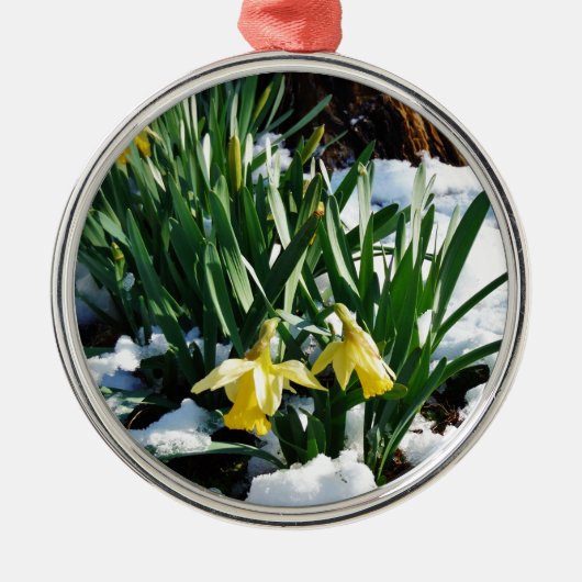 Gelbe Daffodien Blume im Schnee Silbernes Ornament (Vorne)