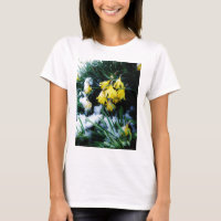Gelbe Daffodien Blume im Schnee