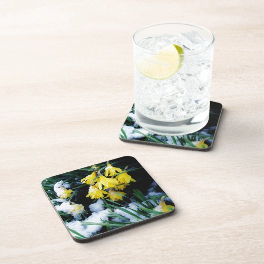 Gelbe Daffodien Blume im Schnee Untersetzer (Rechte Seite)