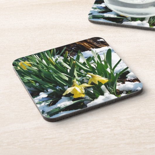 Gelbe Daffodien Blume im Schnee Untersetzer (Linke Seite)