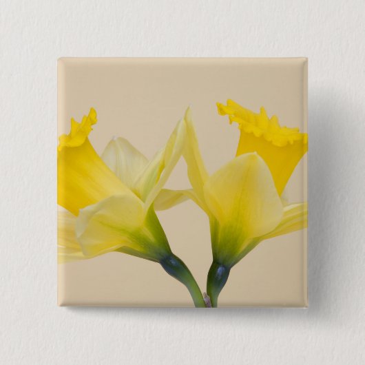Gelbe Daffodien Button (Vorderseite)