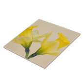 Gelbe Daffodien Fliese (Seite)