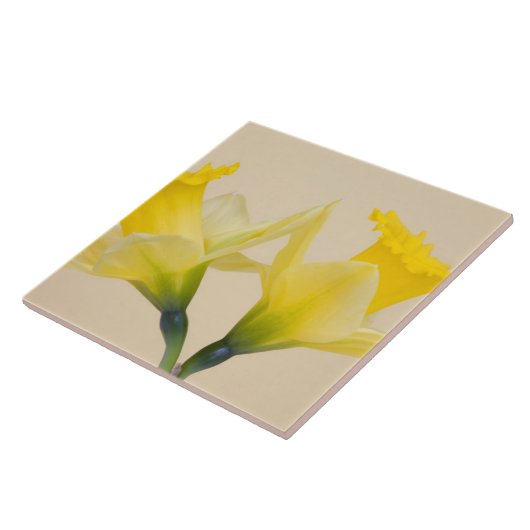 Gelbe Daffodien Fliese (Seite)