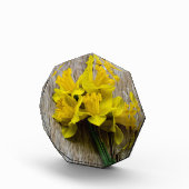 Gelbe Daffodien Foto Block (Rechts)