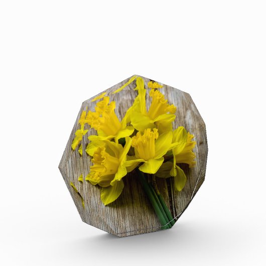 Gelbe Daffodien Foto Block (Links)