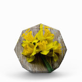 Gelbe Daffodien Foto Block (Vorderseite)