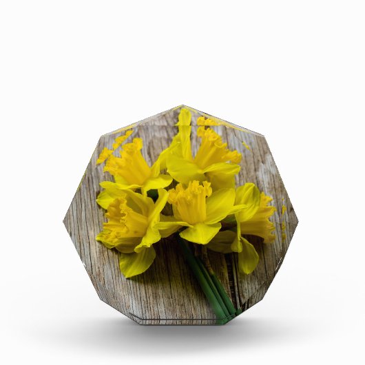 Gelbe Daffodien Foto Block (Vorderseite)