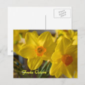 Gelbe Daffodien Frohe Ostern Postcard Postkarte (Vorne/Hinten)