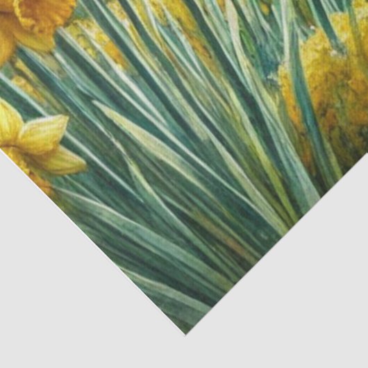Gelbe Daffodien im Frühling mit Gazebo Seidenpapier (Detail)