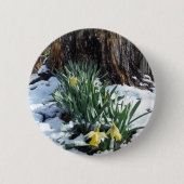 Gelbe Daffodien im Schnee Button (Vorderseite)
