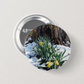Gelbe Daffodien im Schnee Button (Vorne & Hinten)