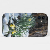 Gelbe Daffodien im Schnee Case-Mate iPhone Hülle (Rückseite (Horizontal))
