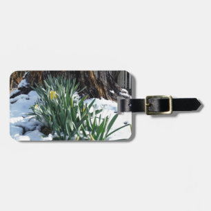 Gelbe Daffodien im Schnee Gepäckanhänger