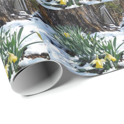 Gelbe Daffodien im Schnee Geschenkpapier (Rolleneckpunkt)