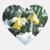 Gelbe Daffodien im Schnee Herz-Aufkleber (Vorderseite)