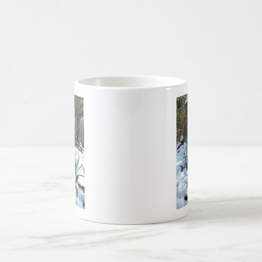 Gelbe Daffodien im Schnee Kaffeetasse (Mittel)