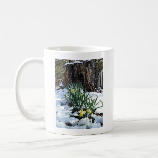 Gelbe Daffodien im Schnee Kaffeetasse (Links)