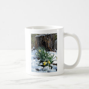 Gelbe Daffodien im Schnee Kaffeetasse