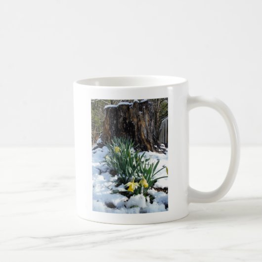 Gelbe Daffodien im Schnee Kaffeetasse (Rechts)