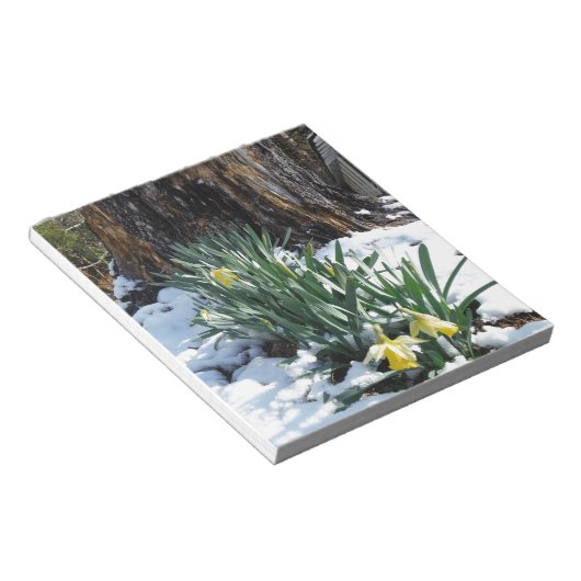 Gelbe Daffodien im Schnee Notizblock (angewinkelt)