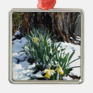 Gelbe Daffodien im Schnee Ornament Aus Metall