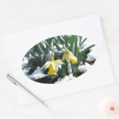 Gelbe Daffodien im Schnee Ovaler Aufkleber (Umschlag)