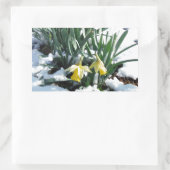 Gelbe Daffodien im Schnee Rechteckiger Aufkleber (Tasche)
