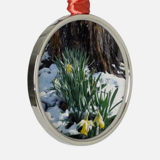 Gelbe Daffodien im Schnee Silbernes Ornament (Rechts)