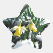 Gelbe Daffodien im Schnee Stern-Aufkleber (Vorderseite)