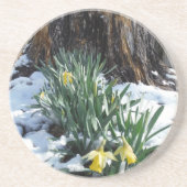 Gelbe Daffodien im Schnee Untersetzer (Vorne)