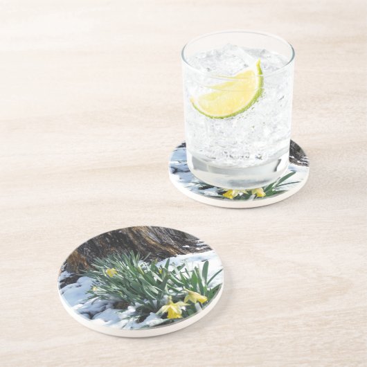 Gelbe Daffodien im Schnee Untersetzer (Seite)