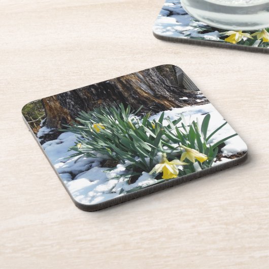 Gelbe Daffodien im Schnee Untersetzer (Linke Seite)