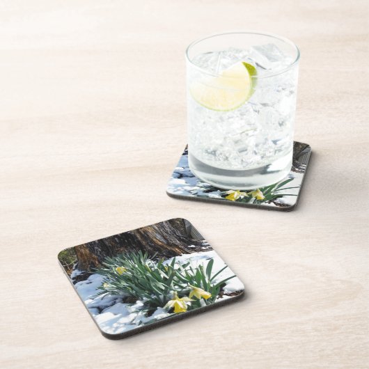 Gelbe Daffodien im Schnee Untersetzer (Rechte Seite)