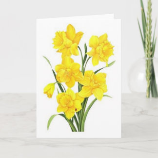 Gelbe Daffodien Karte