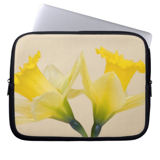 Gelbe Daffodien Laptopschutzhülle (Vorderseite)