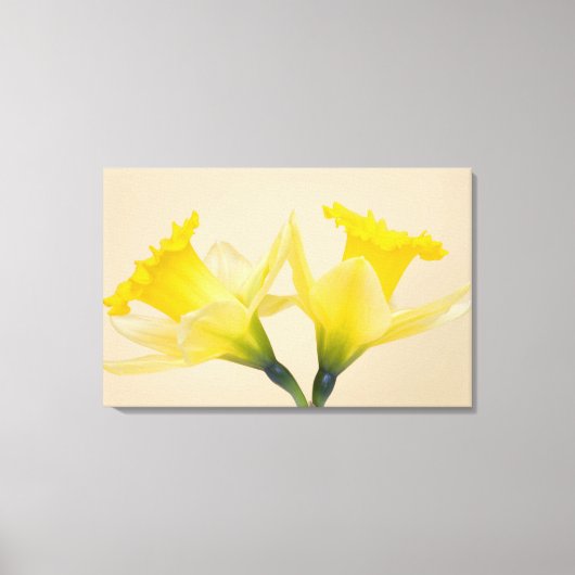 Gelbe Daffodien Leinwanddruck (Vorderseite)