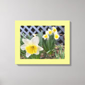 Gelbe Daffodien Leinwanddruck (Vorderseite)