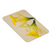 Gelbe Daffodien Magnet (Rechte Seite)