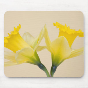 Gelbe Daffodien Mousepad