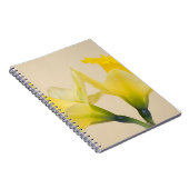 Gelbe Daffodien Notizblock (Rechte Seite)