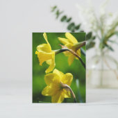 Gelbe Daffodien Postkarte (Stehend Vorderseite)