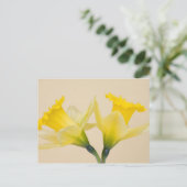 Gelbe Daffodien Postkarte (Stehend Vorderseite)