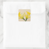 Gelbe Daffodien Quadratischer Aufkleber (Tasche)