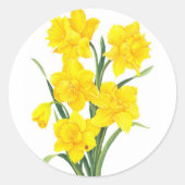 Gelbe Daffodien Runder Aufkleber (Vorderseite)
