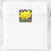 Gelbe Daffodien Sticker (Tasche)