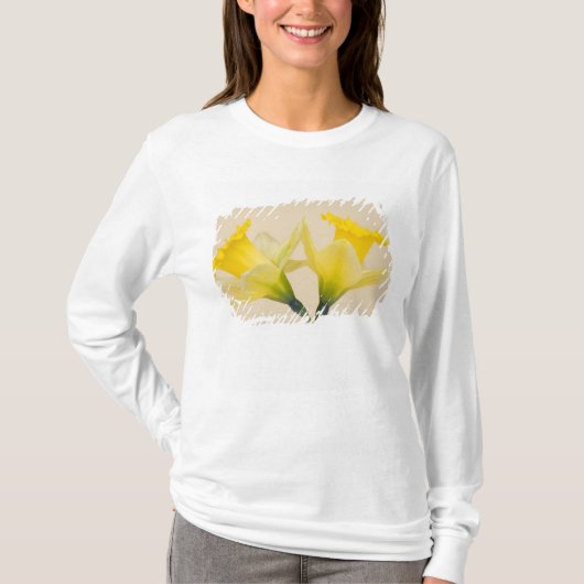 Gelbe Daffodien T-Shirt (Vorderseite)